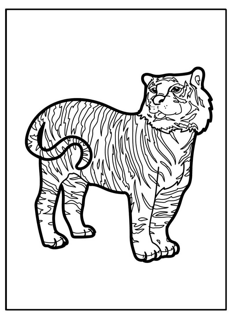 Coloriage Tigre imprimable à imprimer