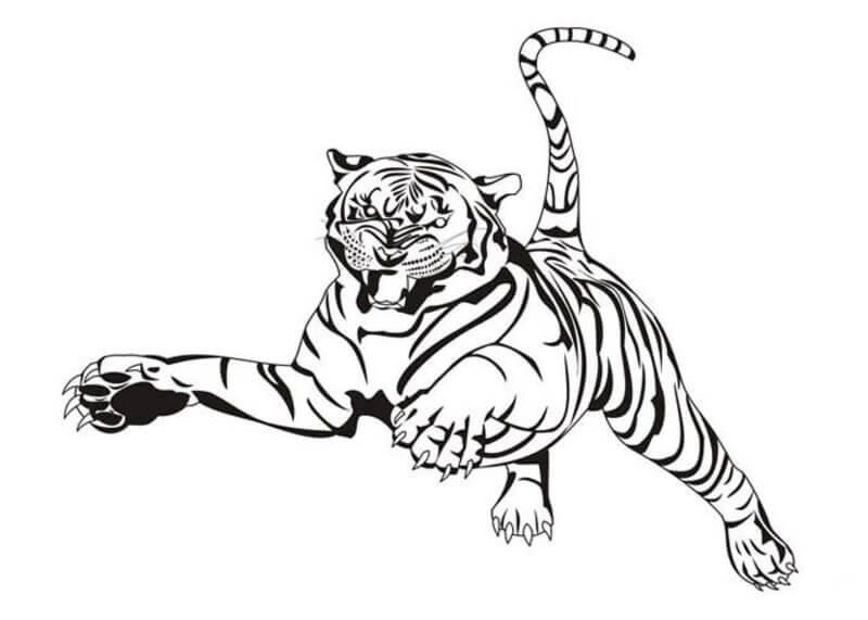 Coloriage Tigre réaliste