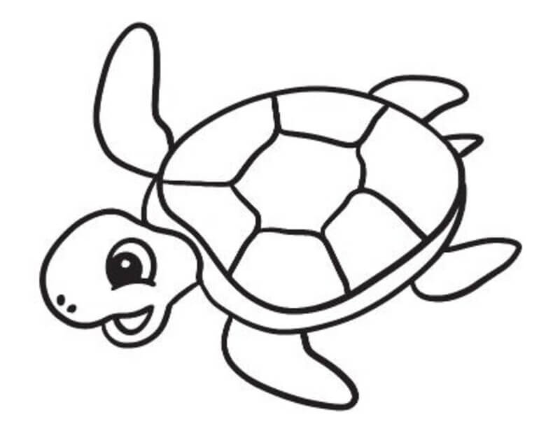 Coloriage Tortue nageuse