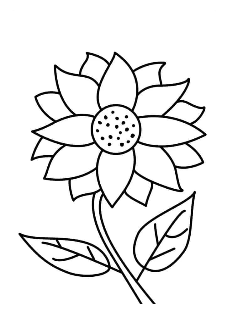 Coloriage Tournesol très facile à imprimer