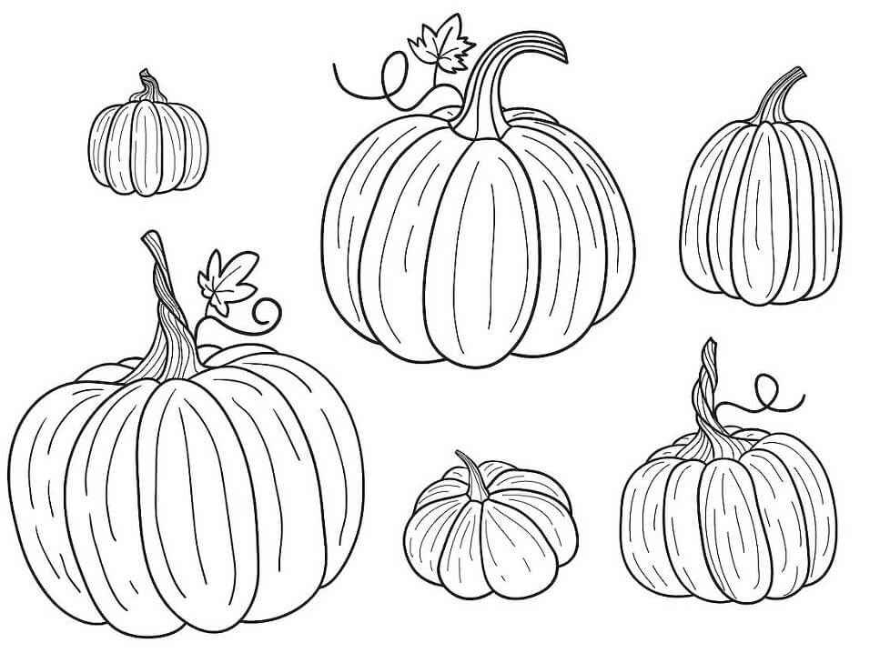 Coloriage Citrouilles à imprimer