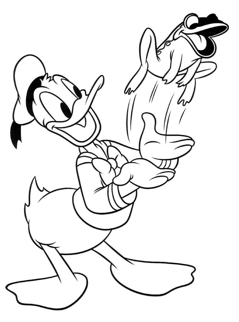 Coloriage Donald Duck avec une grenouille