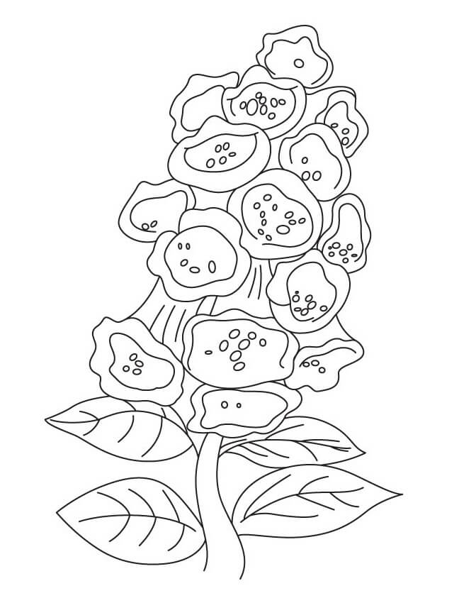 Coloriage Fleurs de Campanule 2 à imprimer