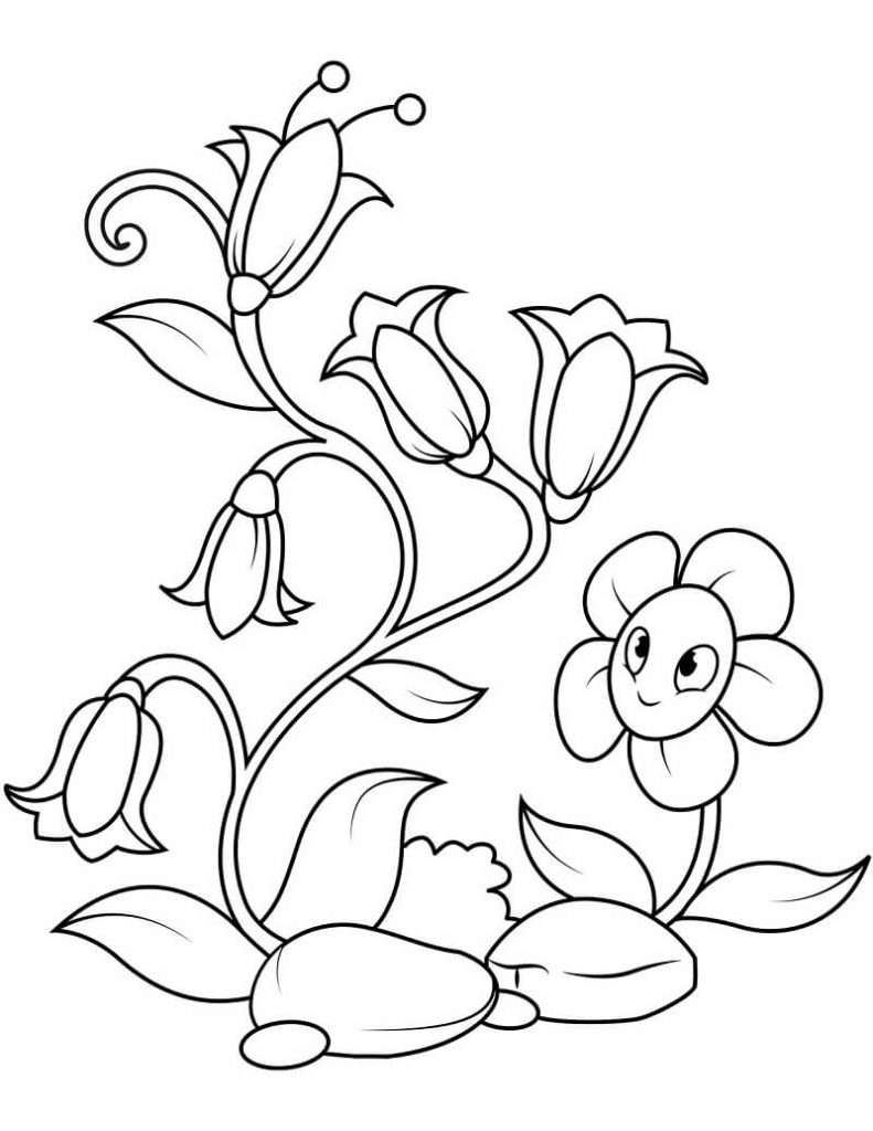 Coloriage Fleurs de Campanule 7 à imprimer