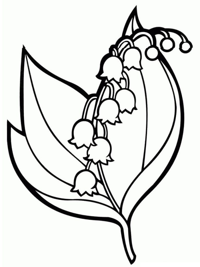 Coloriage Fleurs de Campanule 8 à imprimer