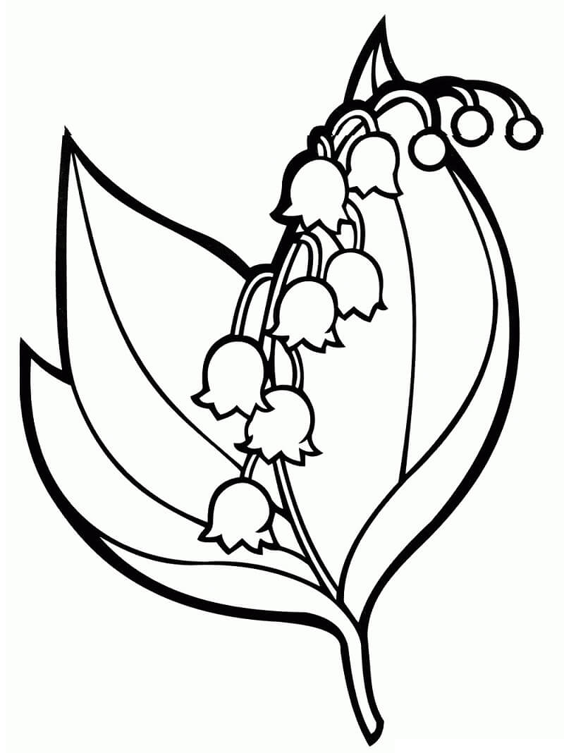 Coloriage Fleurs de Campanule 8 à imprimer