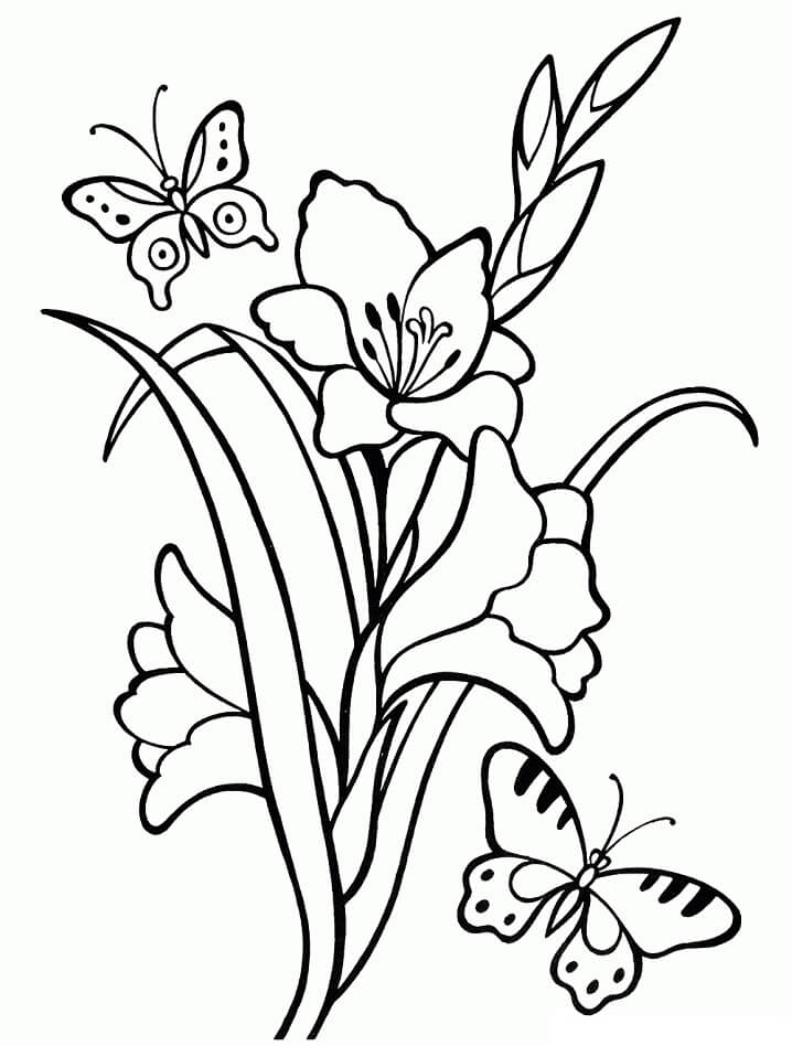 Coloriage Fleurs de Glaïeul 3