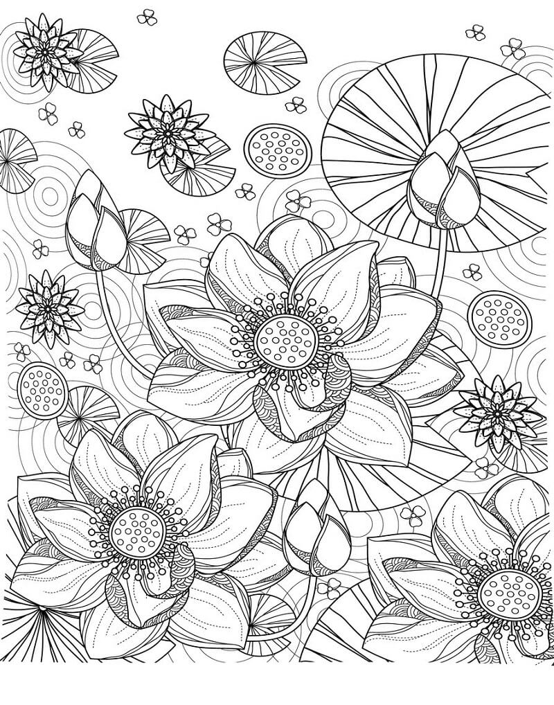 Coloriage Joli Nénuphar 3 à imprimer