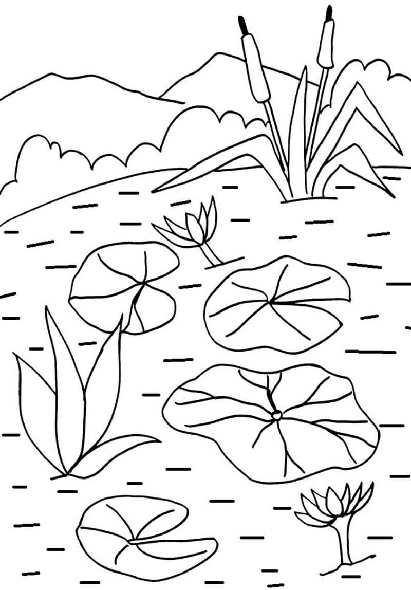 Coloriage Joli Nénuphar à imprimer