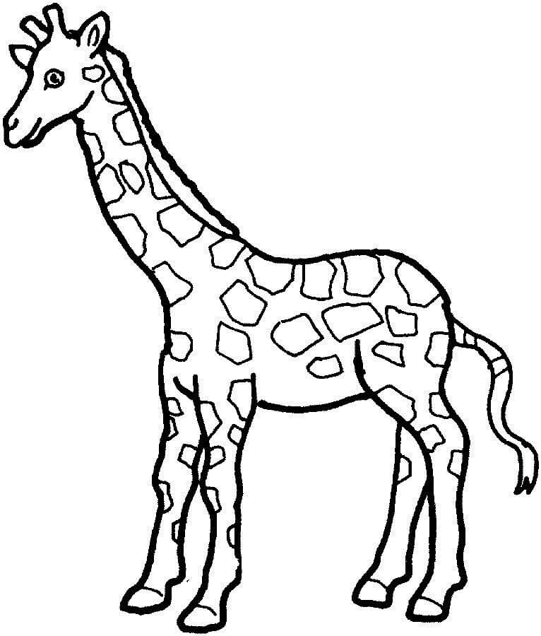 Coloriage girafe normale 1 à imprimer