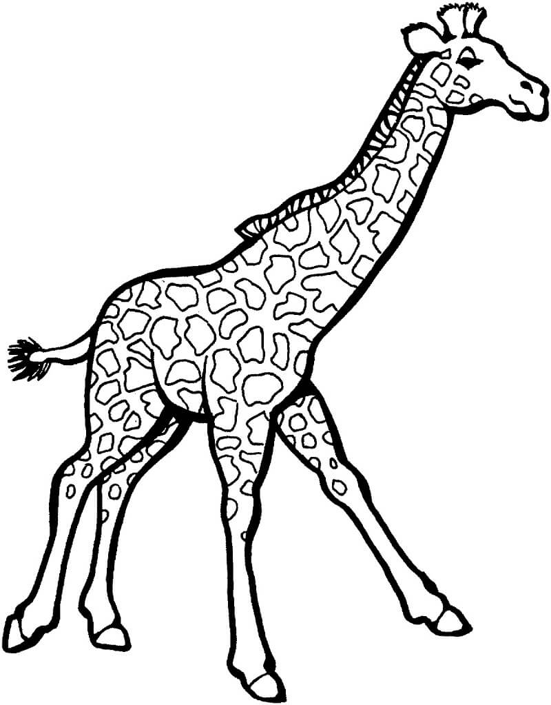 Coloriage girafe normale 3 à imprimer