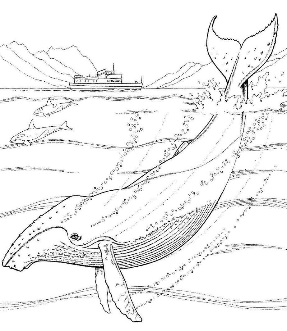 Coloriage baleine à bosse sous un bateau à imprimer