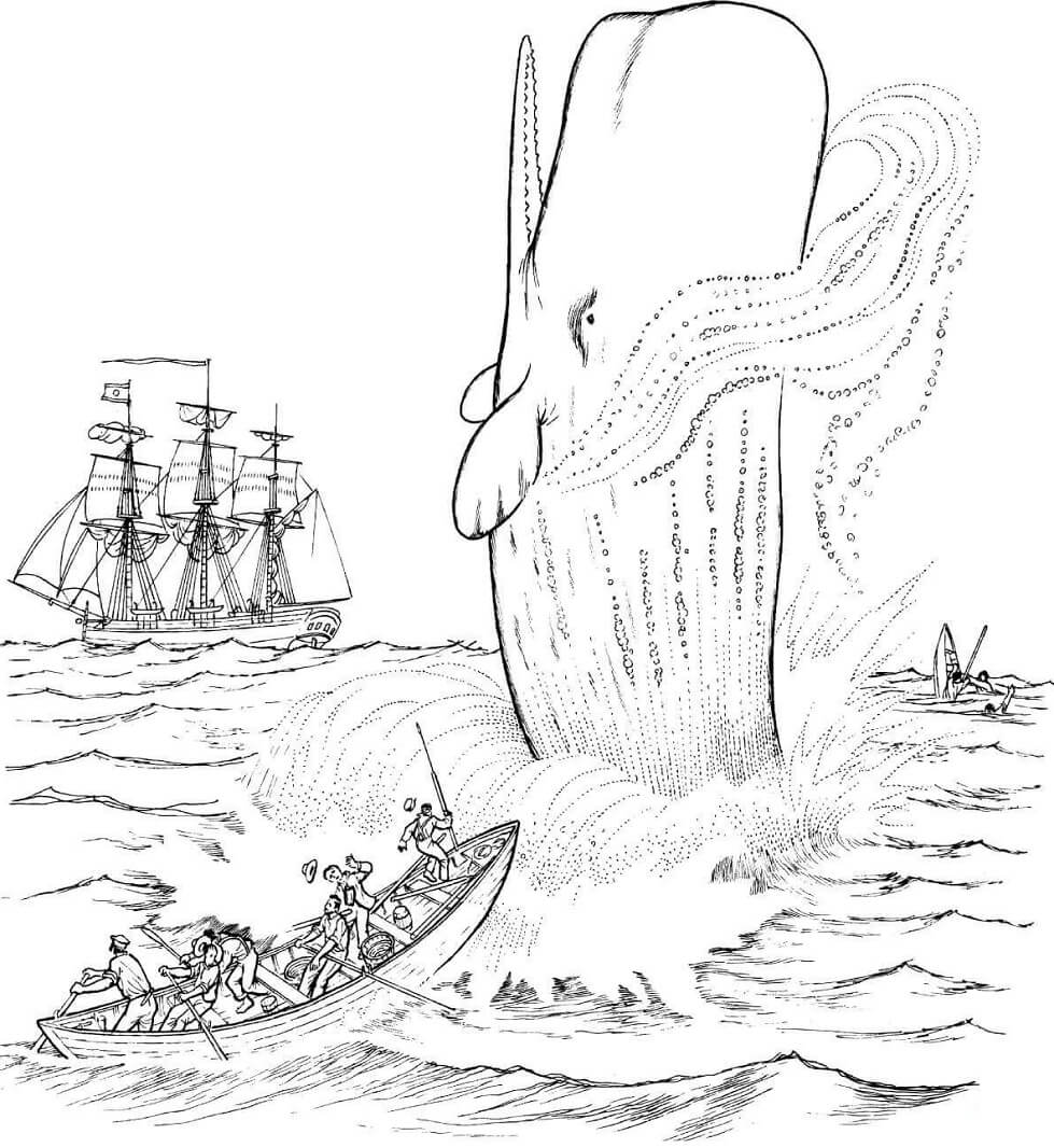 Coloriage cachalot qui attaque un baleinier