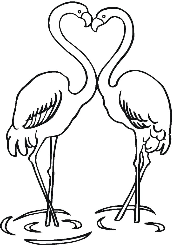 Coloriage couple de flamants à imprimer