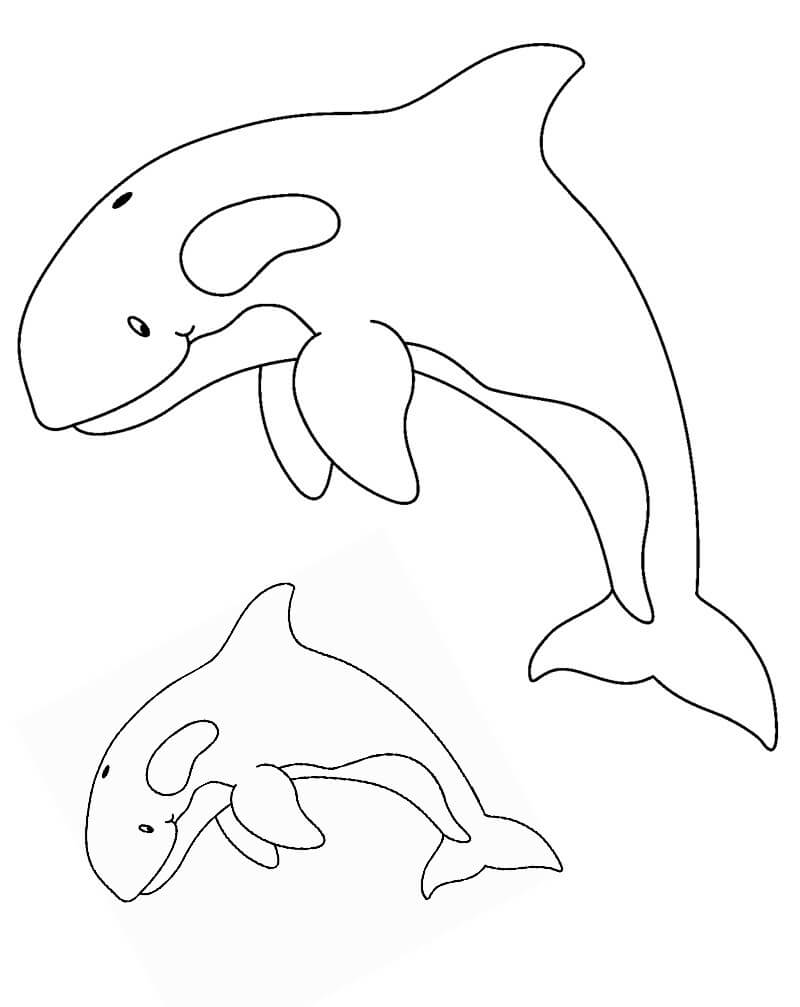 Coloriage deux baleines à imprimer