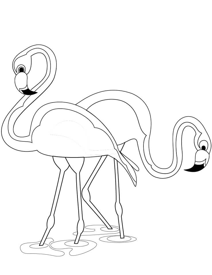 Coloriage deux-flamands roses à imprimer