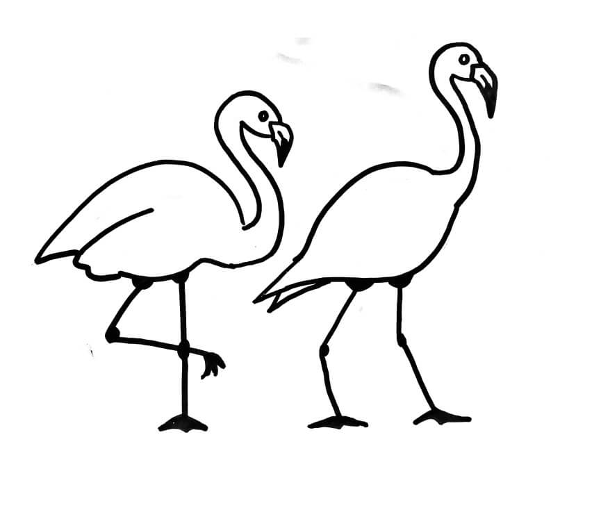 Coloriage deux flamants 1