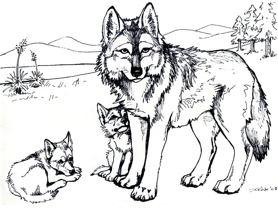 Coloriage famille de loups à imprimer