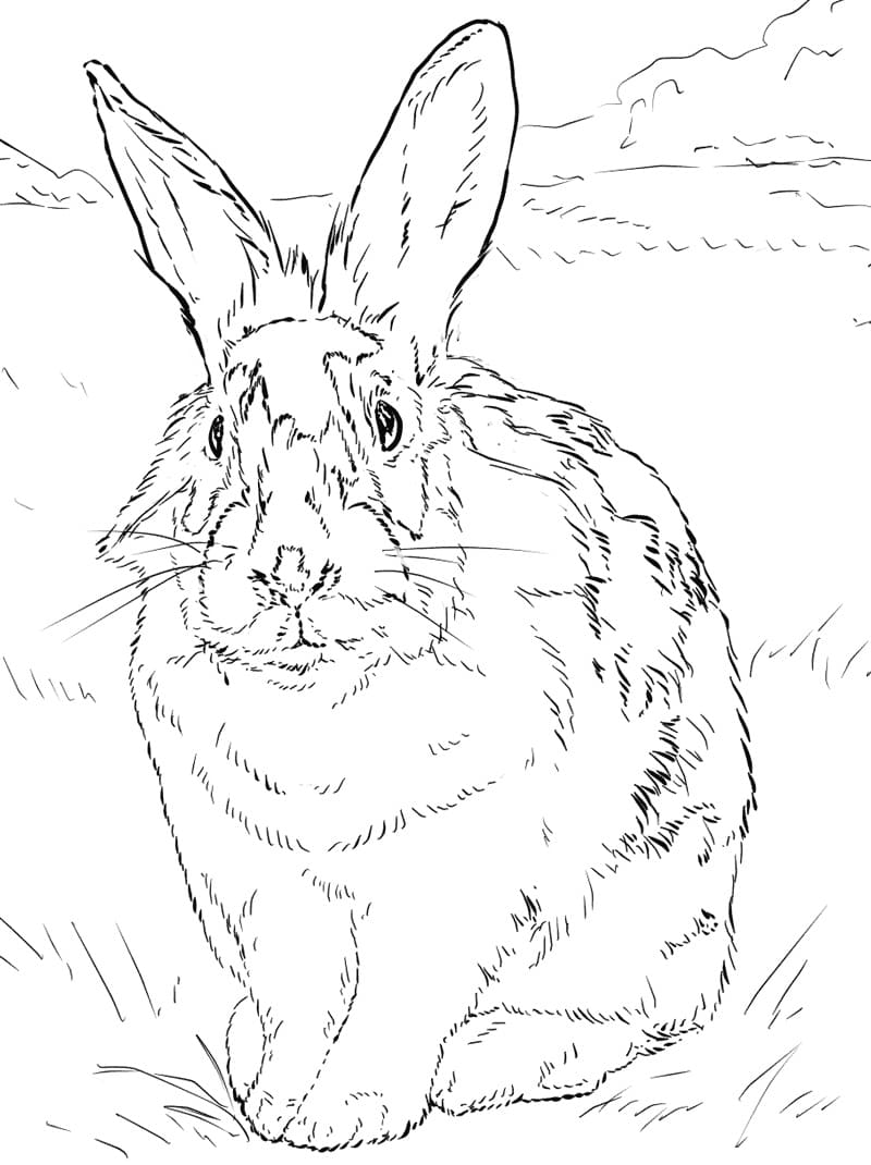 Coloriage lapin noir et blanc à imprimer