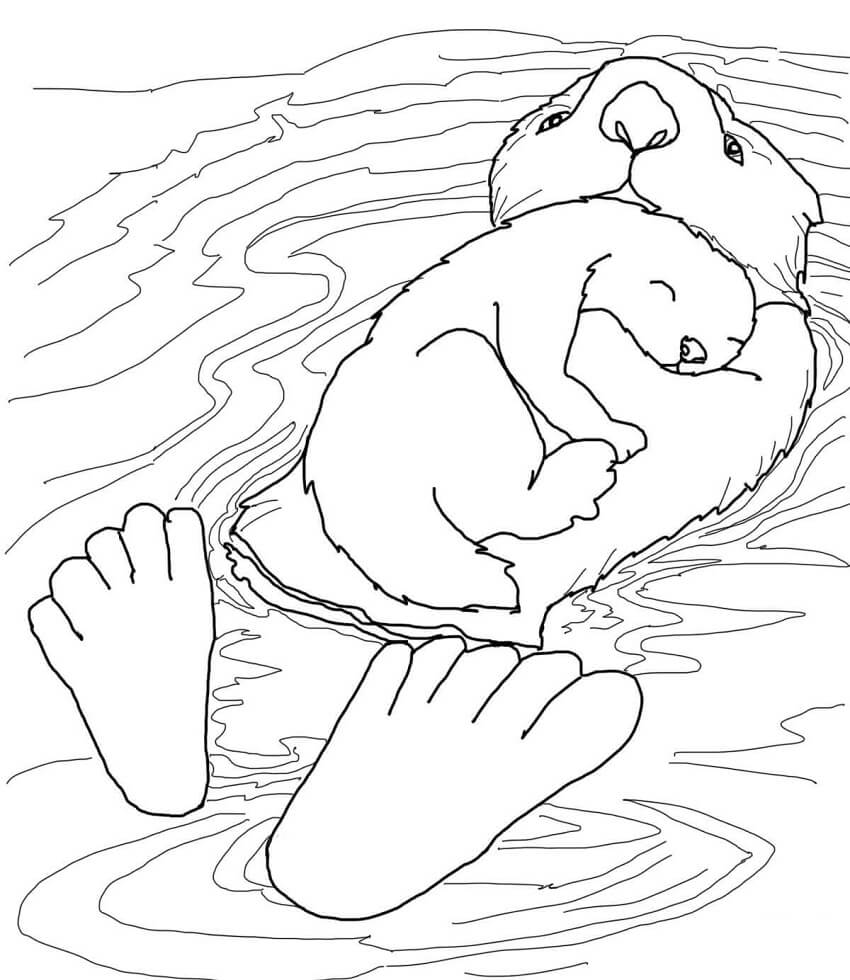 Coloriage loutre de mer avec sson bébé