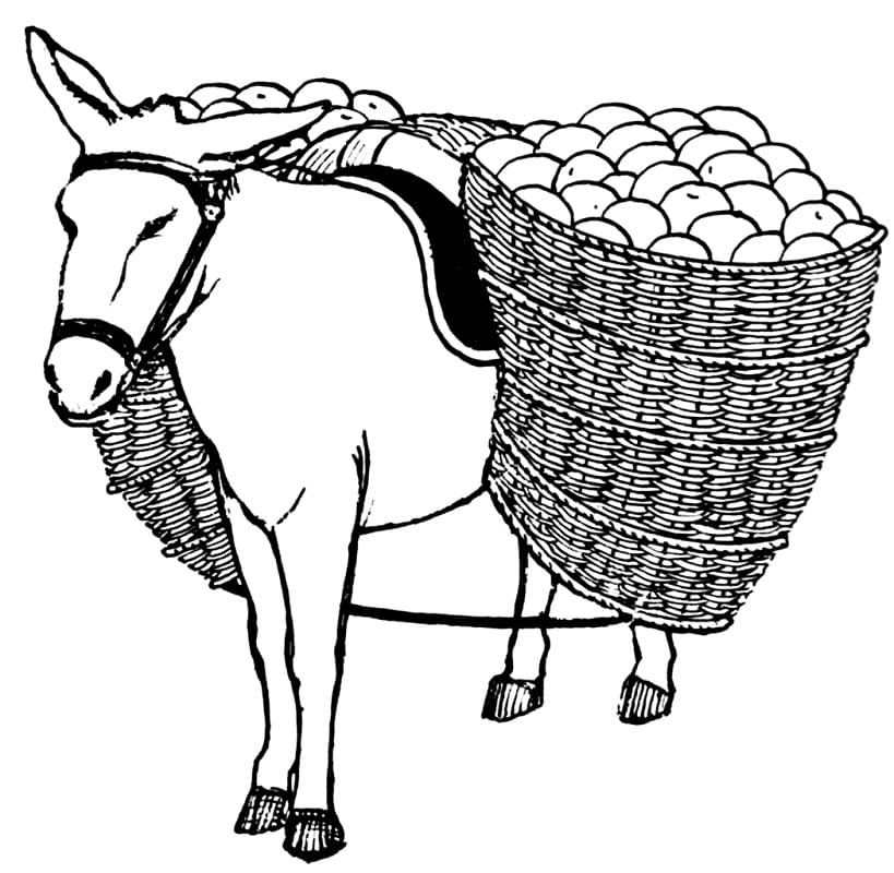 Coloriage âne avec sacoche