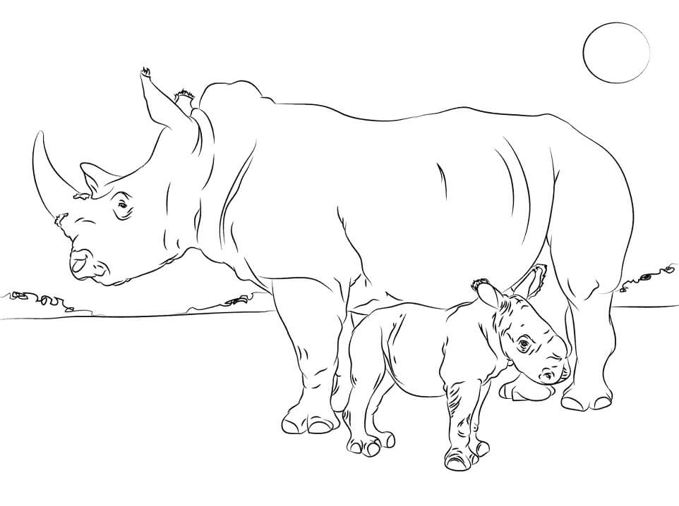 Coloriage bébé rhinocéros adorable avec sa mère à imprimer