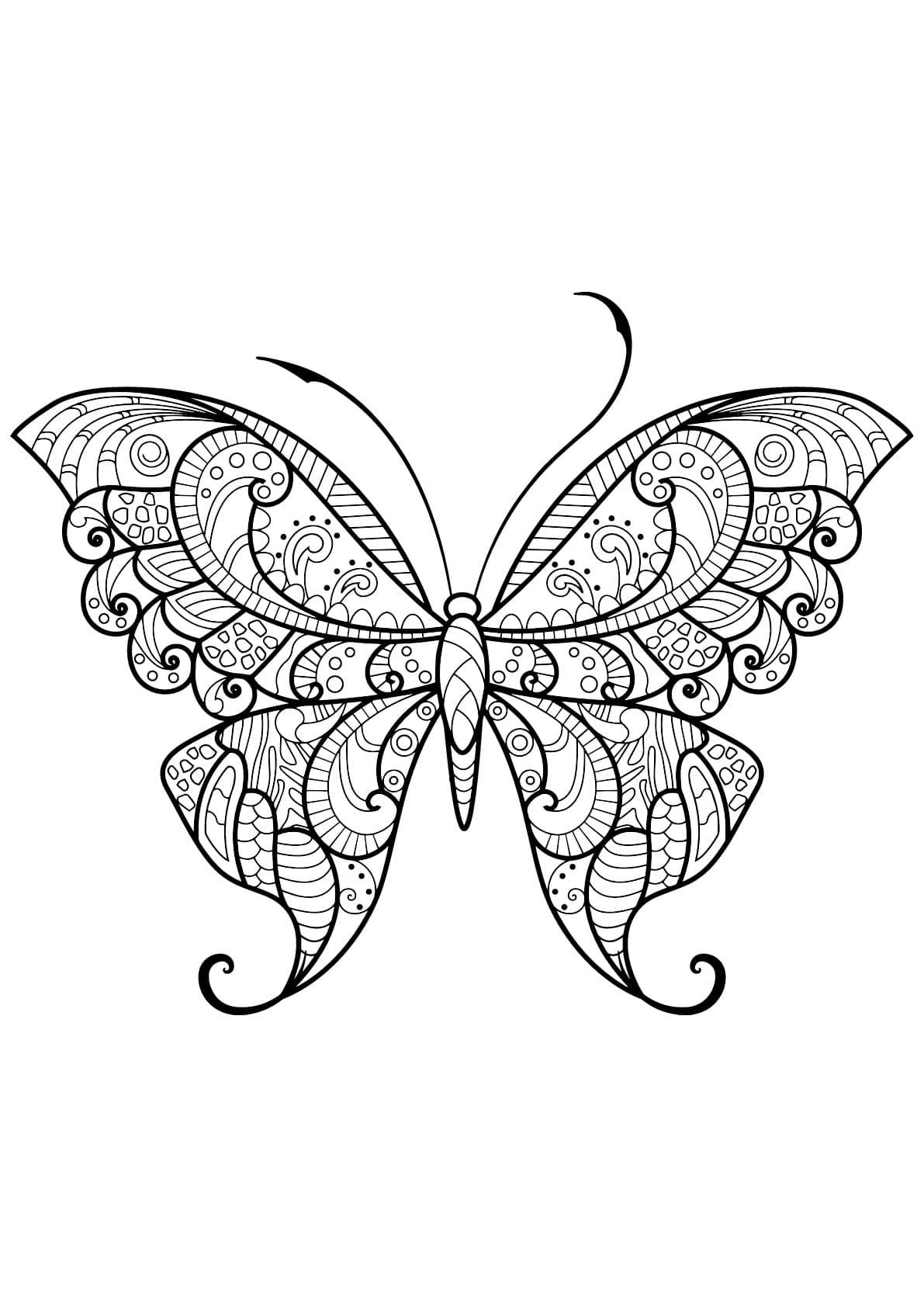 Coloriage papillon adulte jolis motifs 1 à imprimer