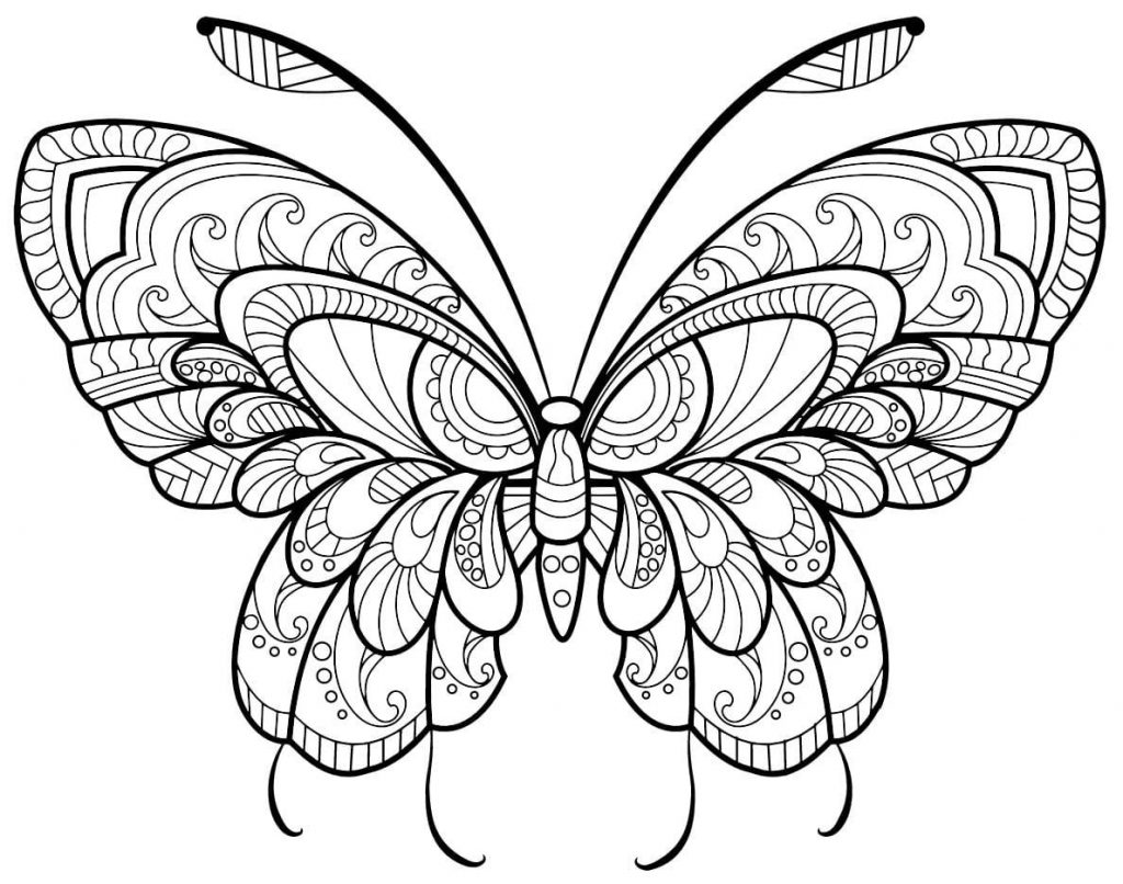 Coloriage papillon adulte jolis motifs 2 à imprimer