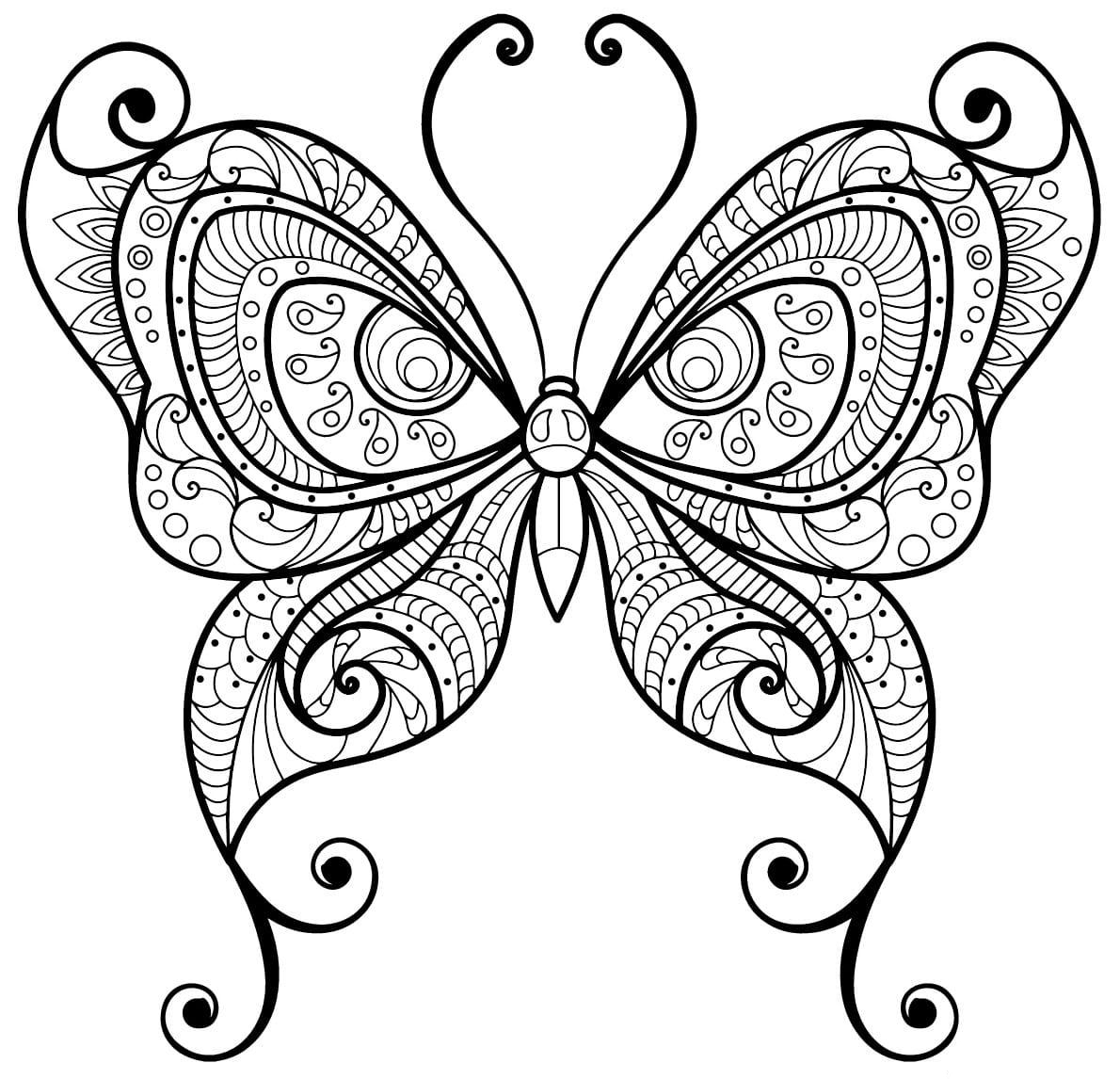 Coloriage papillon adulte jolis motifs 3 à imprimer