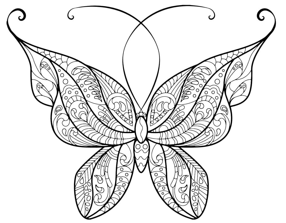 Coloriage papillon adulte jolis motifs 4 à imprimer