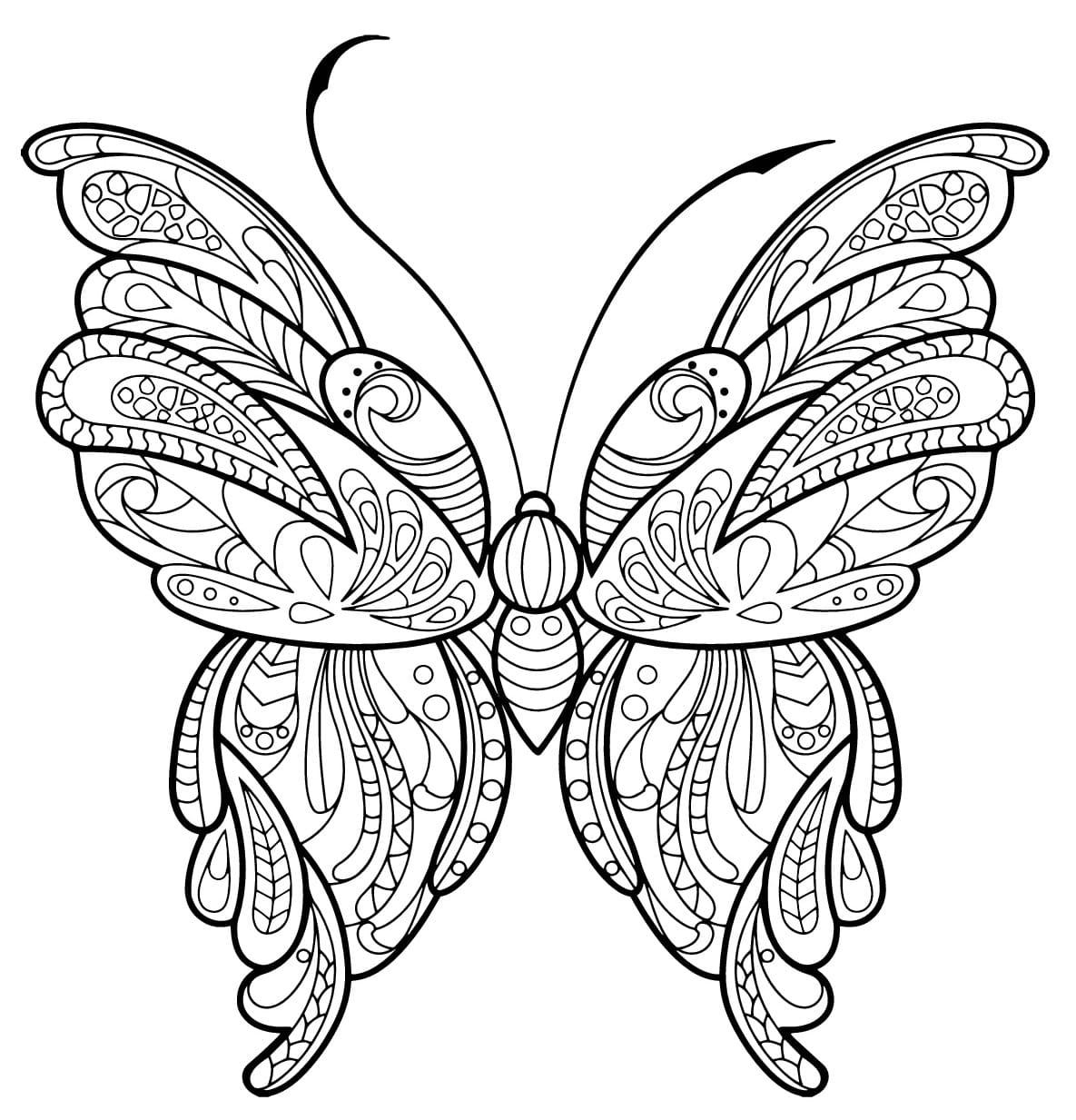 Coloriage papillon adulte jolis motifs à imprimer