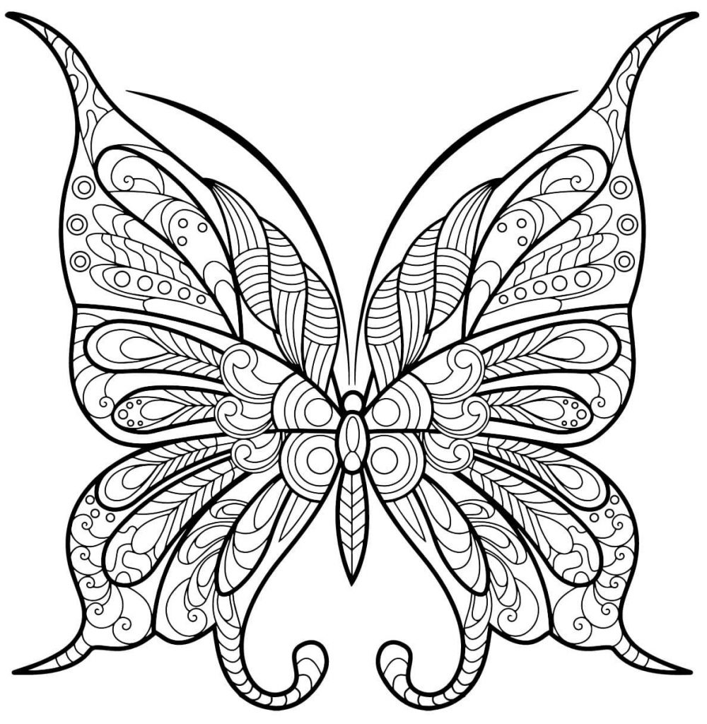 Coloriage papillon insecte jolis motifs 1 à imprimer