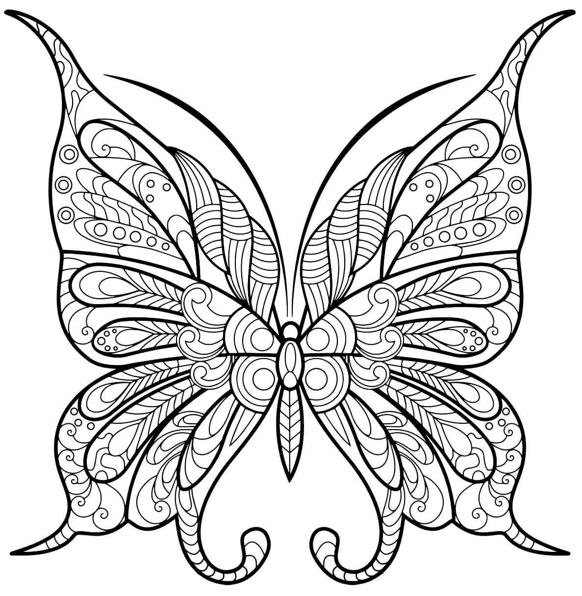 Coloriage papillon insecte jolis motifs 1 à imprimer