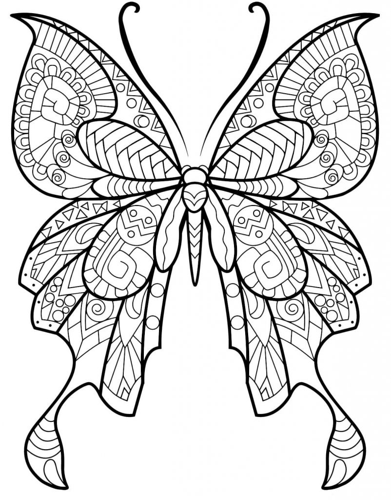 Coloriage papillon insecte jolis motifs 2 à imprimer