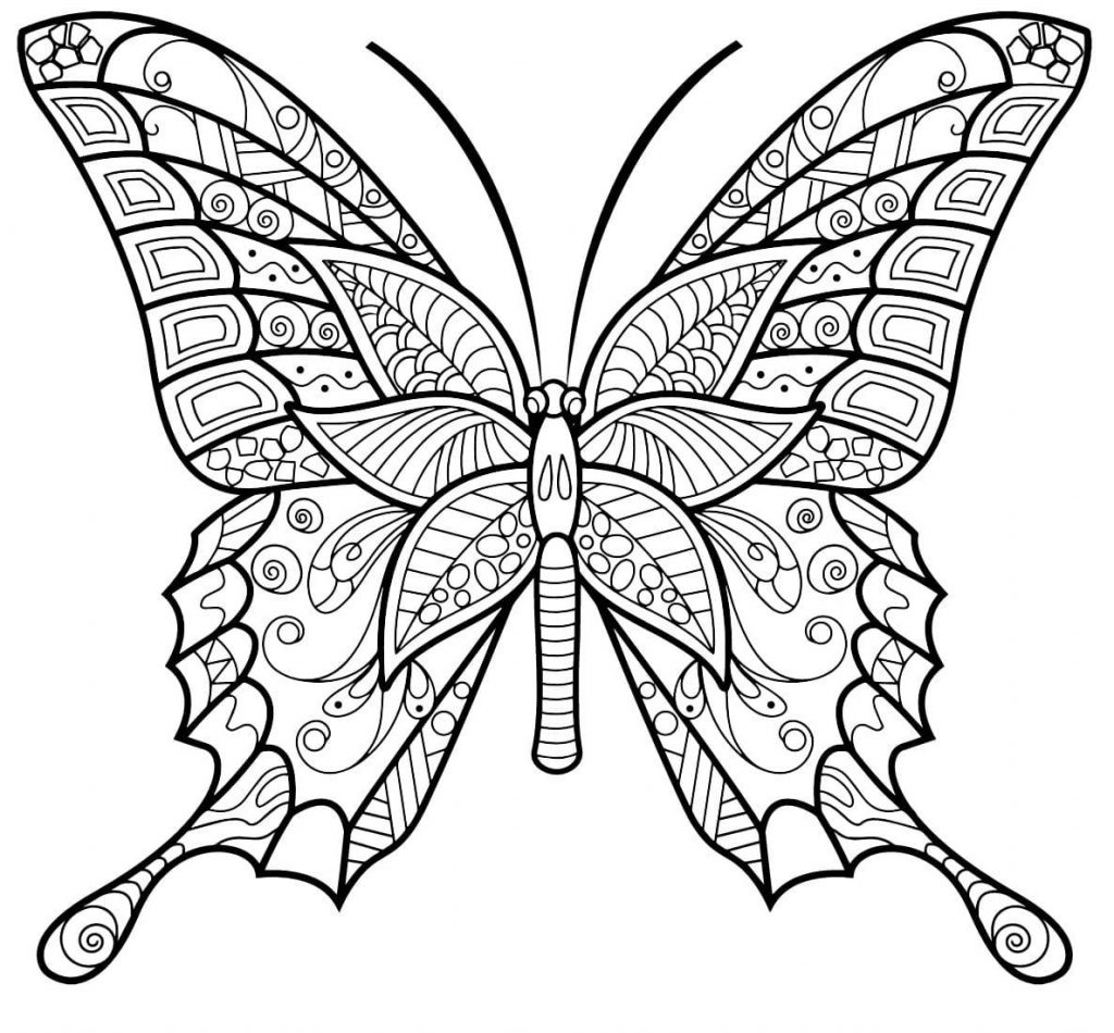 Coloriage papillon insecte jolis motifs 3 à imprimer