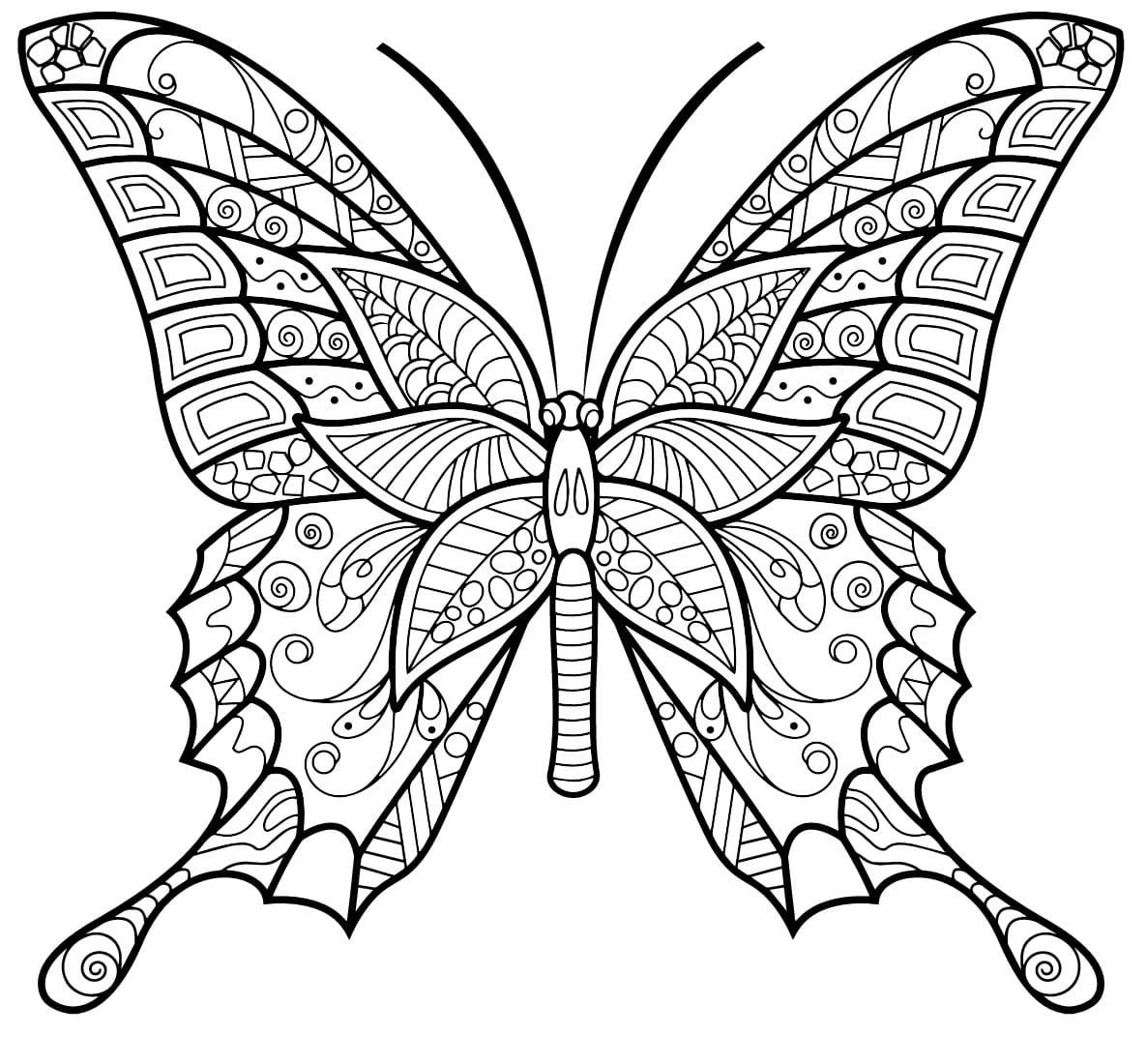 Coloriage papillon insecte jolis motifs 3 à imprimer