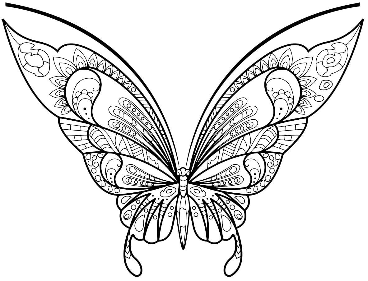 Coloriage papillon insecte jolis motifs à imprimer