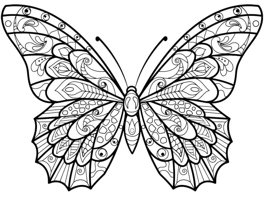 Coloriage papillon jolis motifs à imprimer