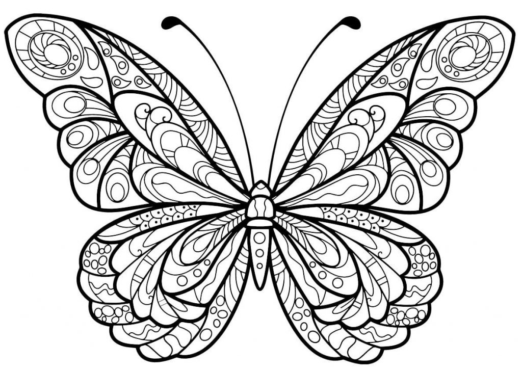 Coloriage papillon jolis motifs 4 à imprimer