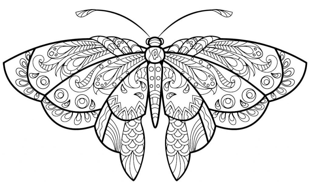 Coloriage papillon jolis motifs 5 à imprimer