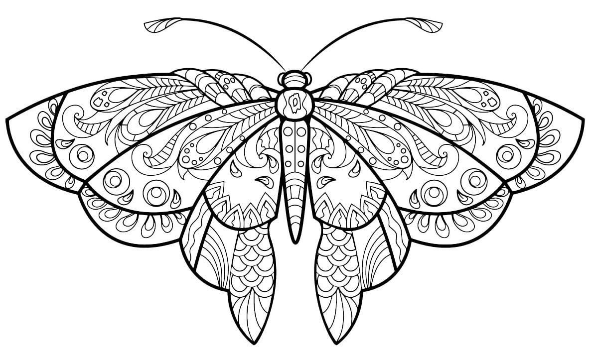Coloriage papillon jolis motifs 5 à imprimer