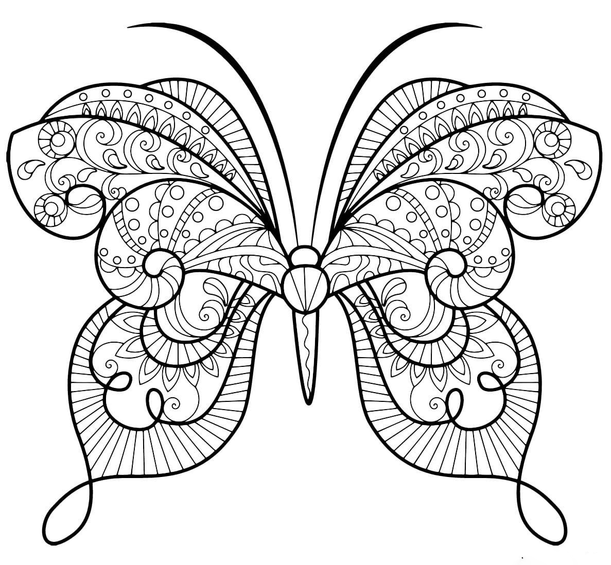 Coloriage papillon zentangle jolis motifs à imprimer