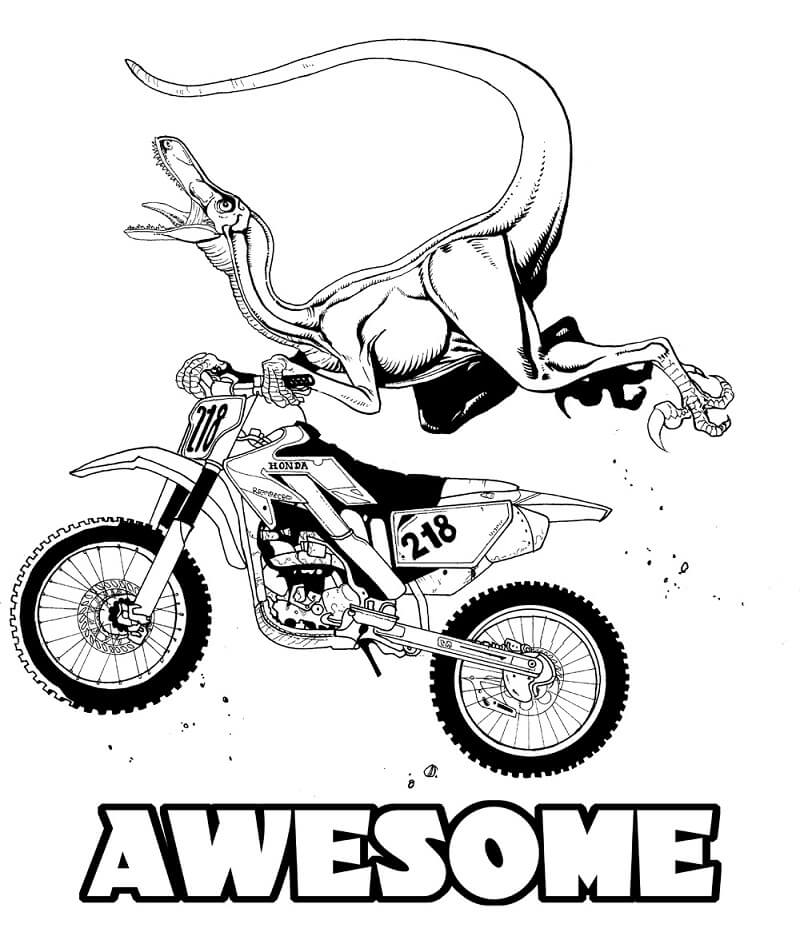 Coloriage raptor moto cross