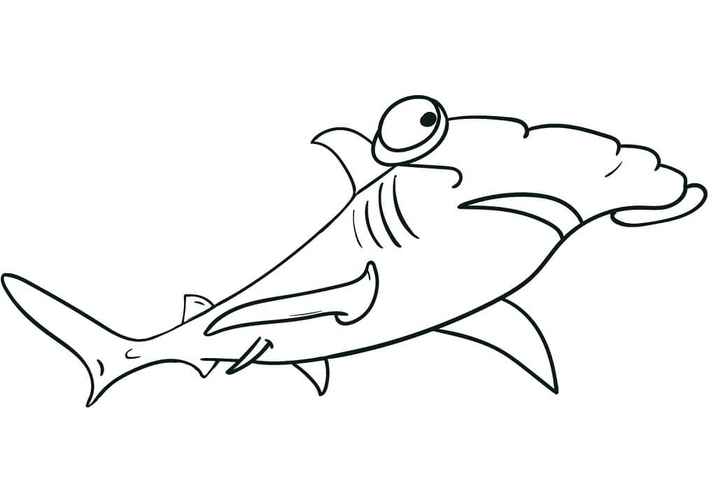 Coloriage requin marteau