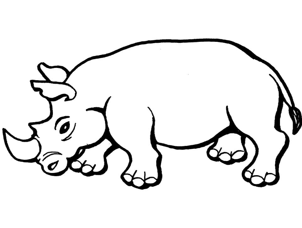 Coloriage rhinocéros 2 à imprimer