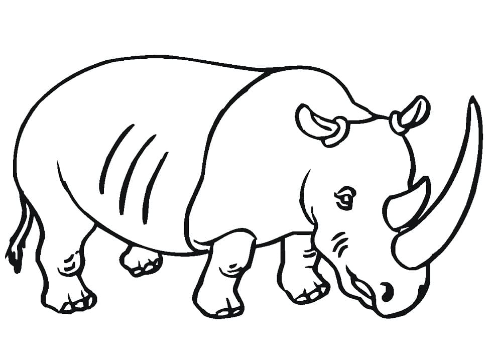 Coloriage rhinocéros avec grande corne à imprimer