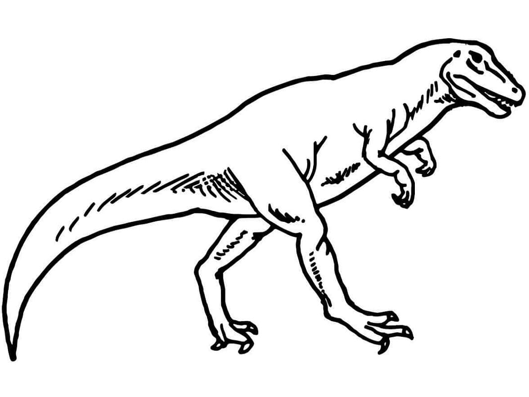 Coloriage dinosaure allosaure 1