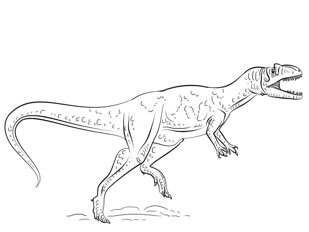 Coloriage dinosaure allosaure