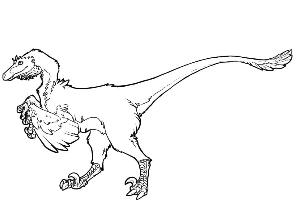 Coloriage dinosaure raptor