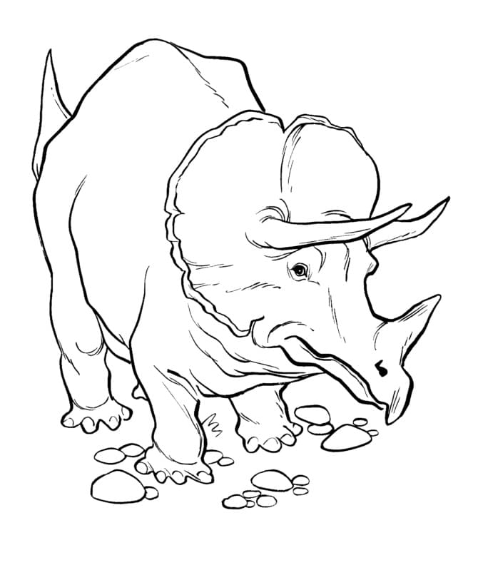 Coloriage dinosaure tricératops 3